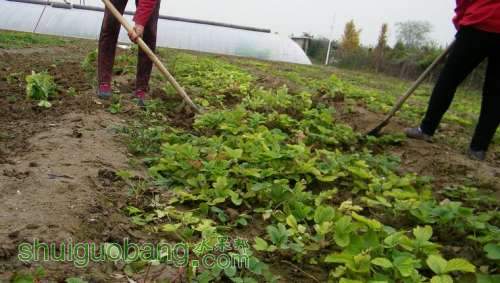 nEO_IMG_100_0145.jpg