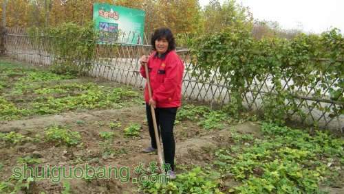 nEO_IMG_100_0144.jpg