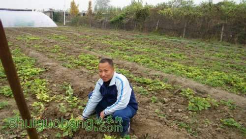 nEO_IMG_100_0136.jpg