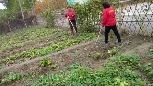 nEO_IMG_100_0131.jpg