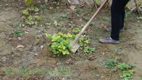 nEO_IMG_100_0130.jpg