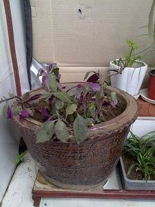 ������С �ϱ���.jpg