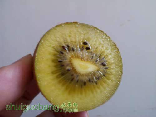 2011-11-12 10.00.33.jpg