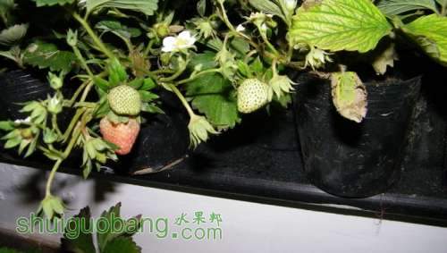nEO_IMG_100_0221.jpg