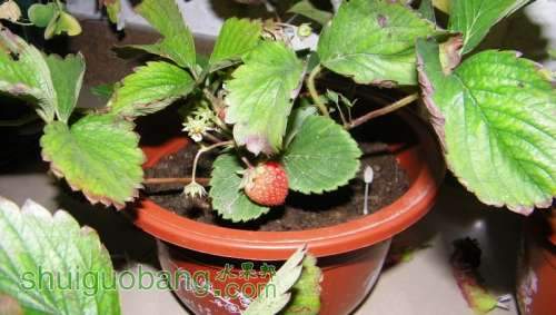 nEO_IMG_100_0219.jpg
