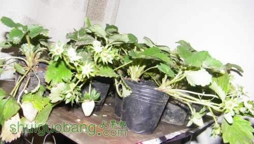 nEO_IMG_100_0217.jpg