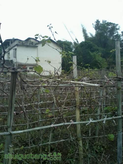20111112163924.jpg