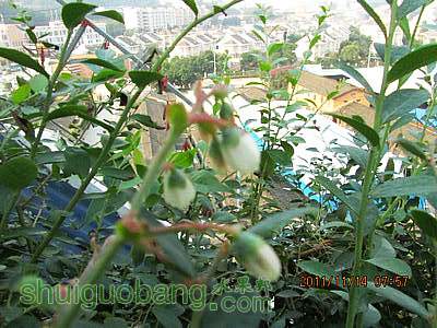 IMG_2449.jpg