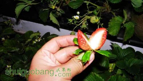 nEO_IMG_100_0371.jpg