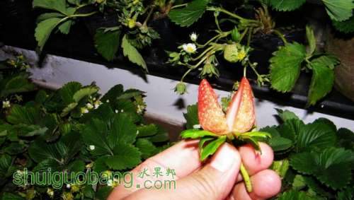 nEO_IMG_100_0370.jpg