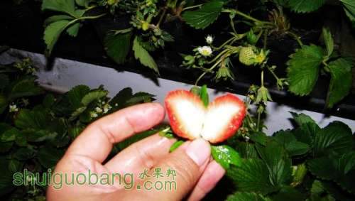 nEO_IMG_100_0369.jpg