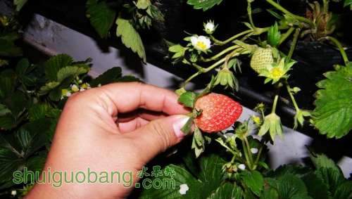 nEO_IMG_100_0368.jpg