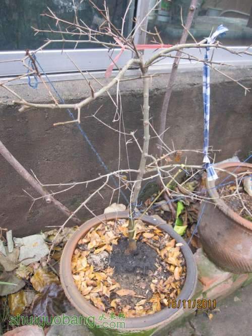 Ƭ0807 357.jpg