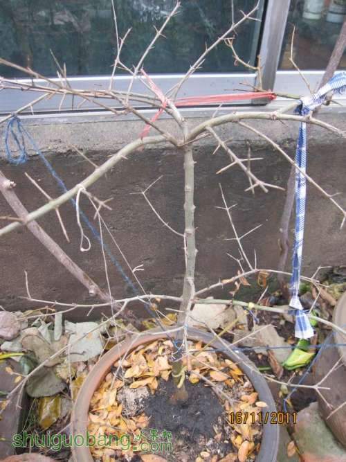 Ƭ0807 358.jpg