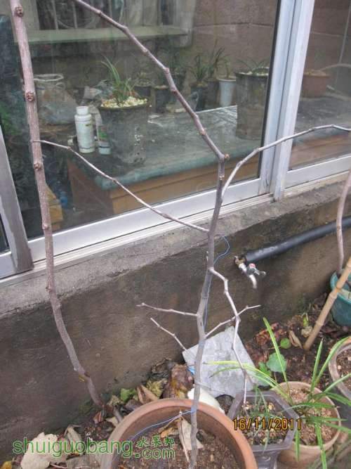 Ƭ0807 359.jpg