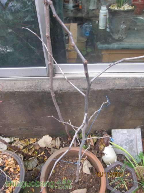 Ƭ0807 360.jpg