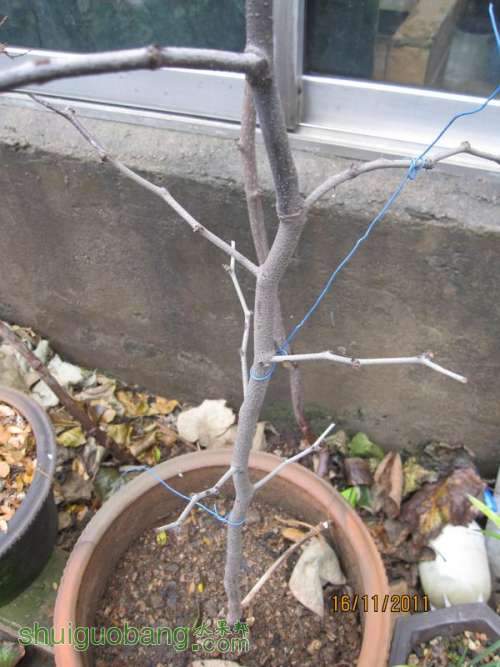 Ƭ0807 361.jpg