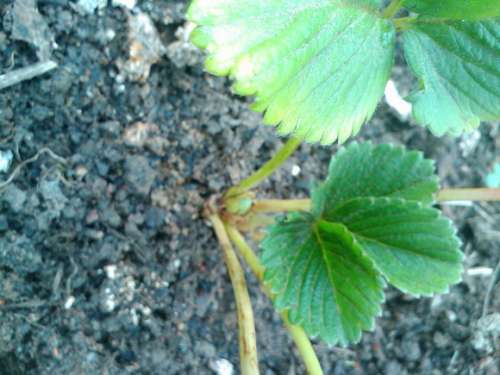 Image_00318.jpg01.jpg