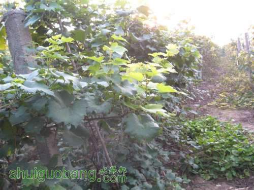 IMG_3477 (��).JPG