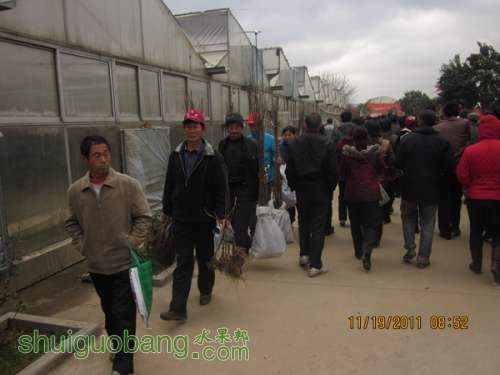 9ſ쵽᳡йũջ---.jpg