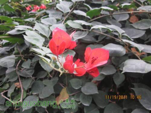 IMG_0813.jpg