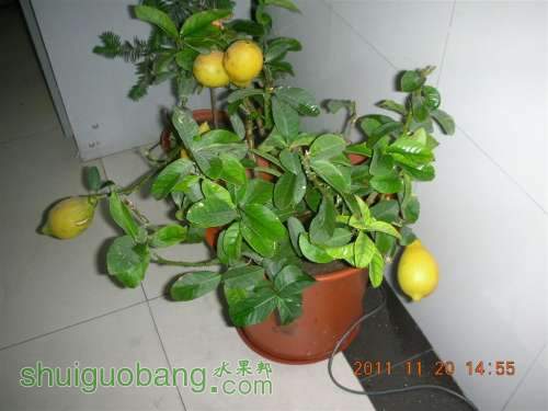 DSCN3963 (����).JPG
