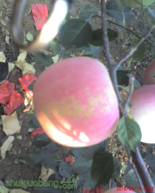 moto_0013.jpg
