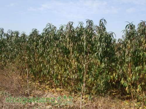ԵҹרҵľƬ 011.jpg