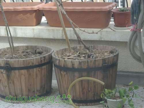 IMGP0918.JPG