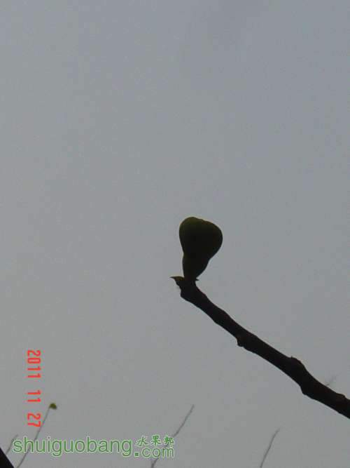 DSC00404.JPG