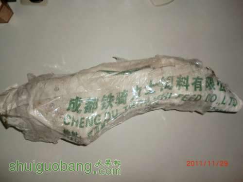 CIMG0092.JPG