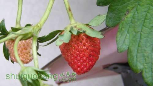 nEO_IMG_100_0899.jpg