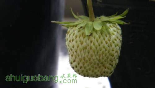 nEO_IMG_100_0897.jpg