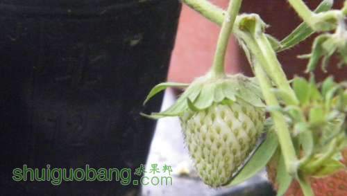 nEO_IMG_100_0896.jpg
