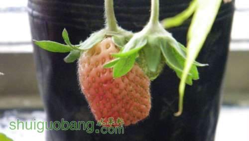 nEO_IMG_100_0894.jpg