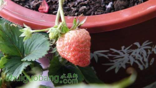 nEO_IMG_100_0893.jpg