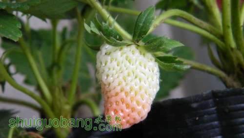 nEO_IMG_100_0891.jpg