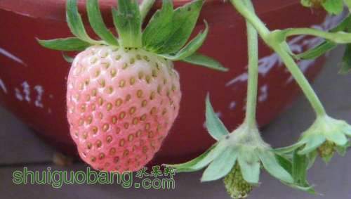 nEO_IMG_100_0892.jpg