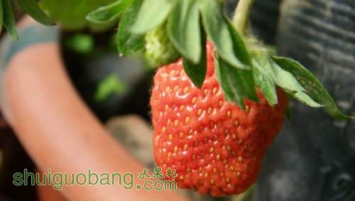 nEO_IMG_100_0912.jpg
