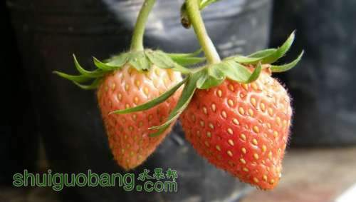 nEO_IMG_100_0906.jpg