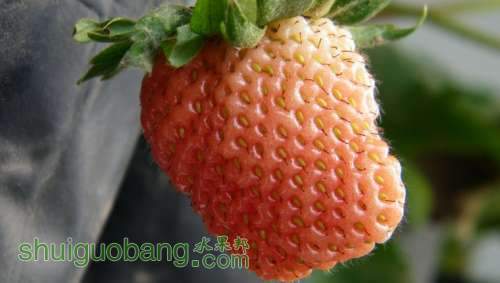 nEO_IMG_100_0905.jpg