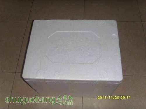 SI858959.JPG