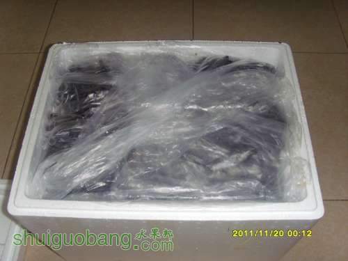 SI858960.JPG
