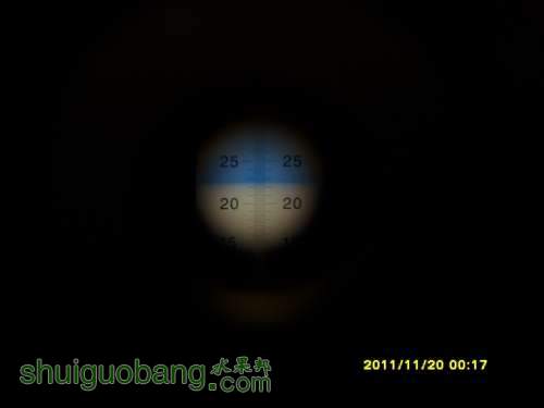SI858968.JPG