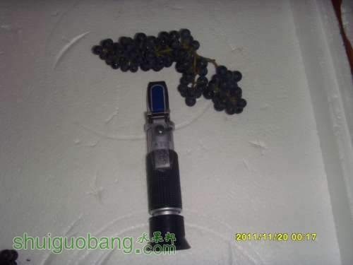 SI858969.JPG