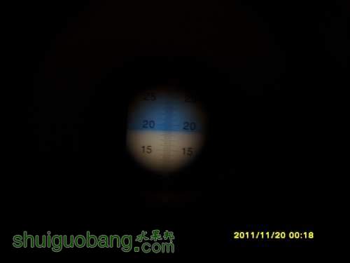 SI858970.JPG