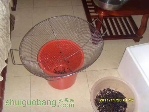 SI858973.JPG