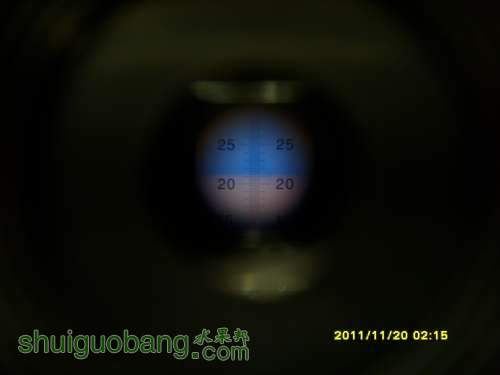 SI858975.JPG