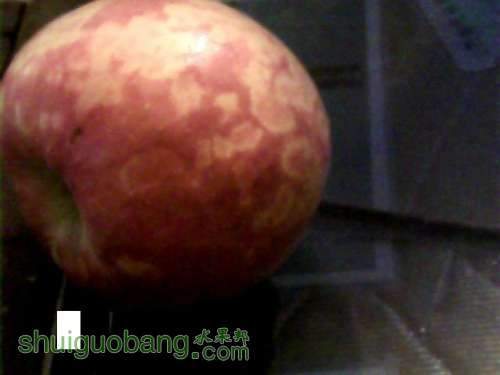 ͼƬ 022ƻ������.jpg