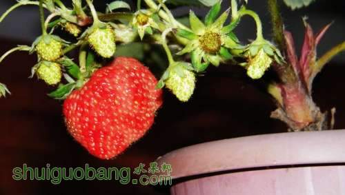 nEO_IMG_100_0986.jpg
